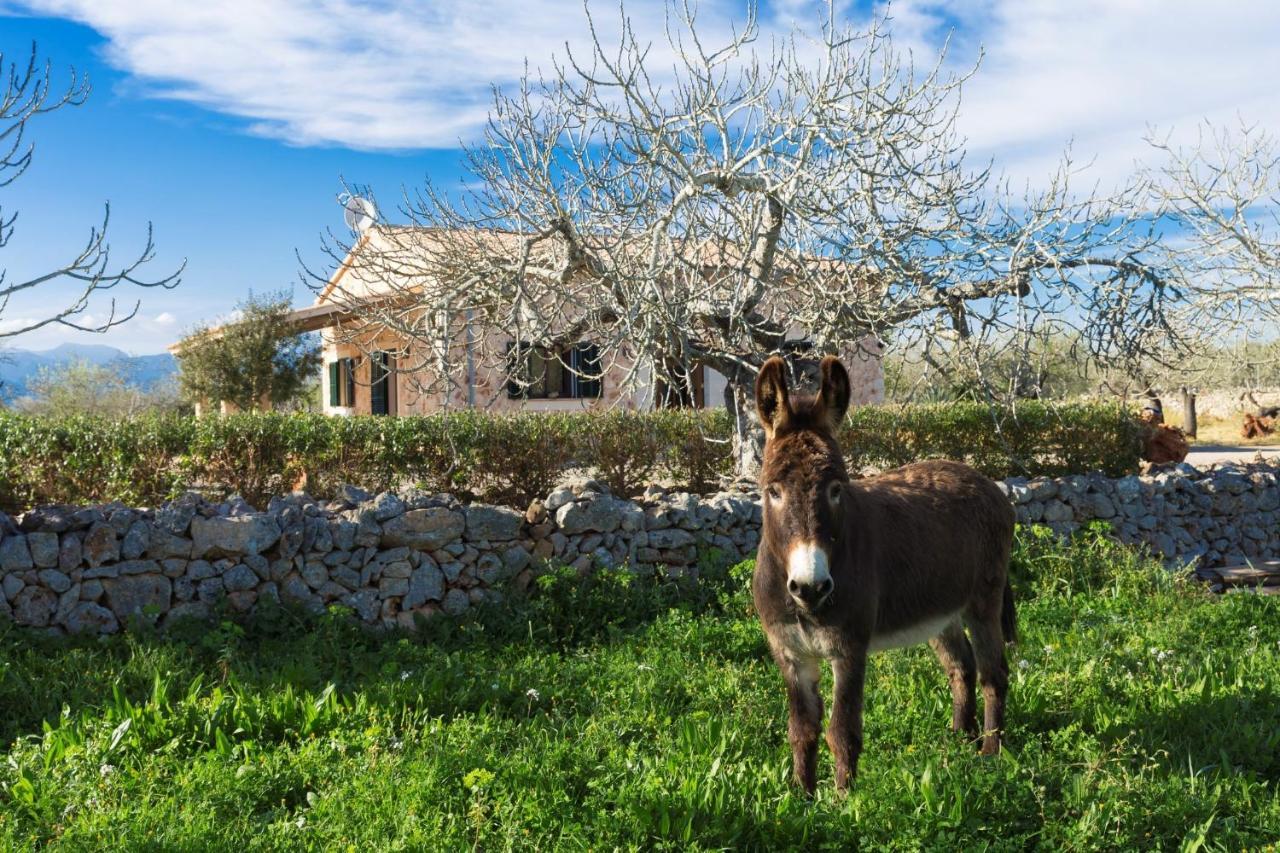 155 Finca Son Rossignol By Mallorca Charme سينيو المظهر الخارجي الصورة